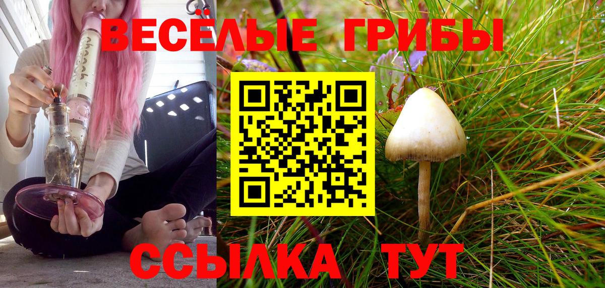 Галлюциногенные грибы GOLDEN TEACHER  Галлюциногенные грибы мухоморы  Вход с VPN  Черняховск 